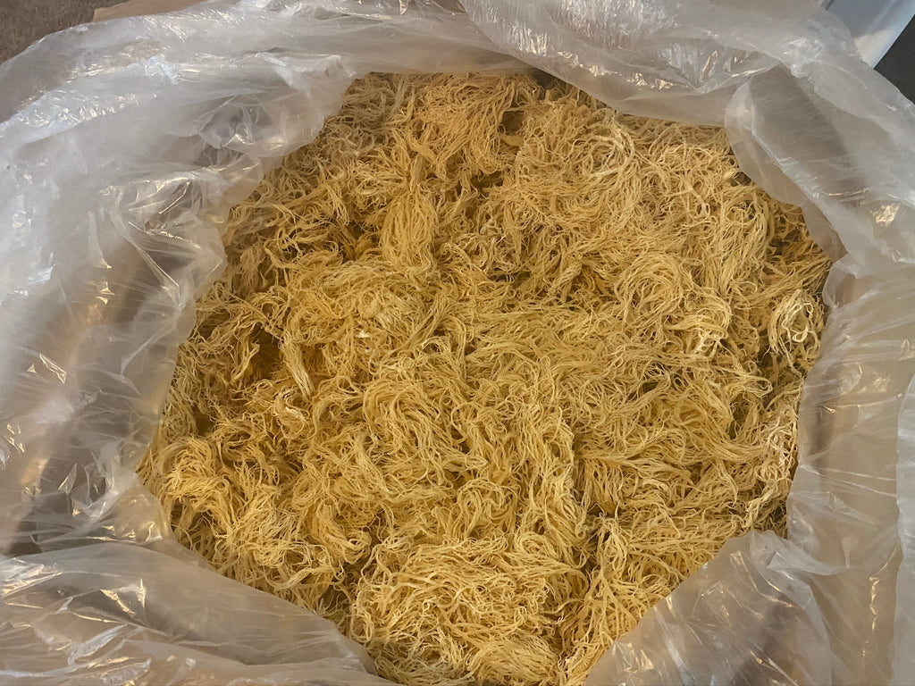 St. Lucia Premium Gold Sea Moss 5 Pounds