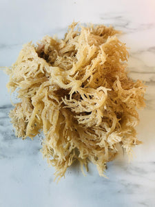 Jamaican Irish Sea Moss 1/2 Pound