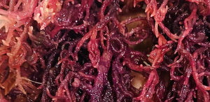 St. Lucia Premium Purple Sea Moss 5 Pounds